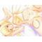 [A:F6EC]CLOVER HEART'S[A:F6EC]
