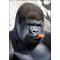 [A:F3C4]└|∵|┐Toppo[A:F3C4]