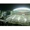 [V:4F4E]終コン2009[V:475E]