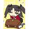Fate/hollow night