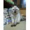猫カフェ CAT[D:F946]Friend
