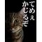 Eternal[D:F991]love