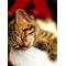[A:F3C5]睡眠族[A:F64D][A:F64D][A:F65E]