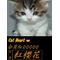 Cat Heart
