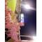 We[D:F991][D:F9EC]廣島CARP[D:F9EC]鯉[D:F9EC]